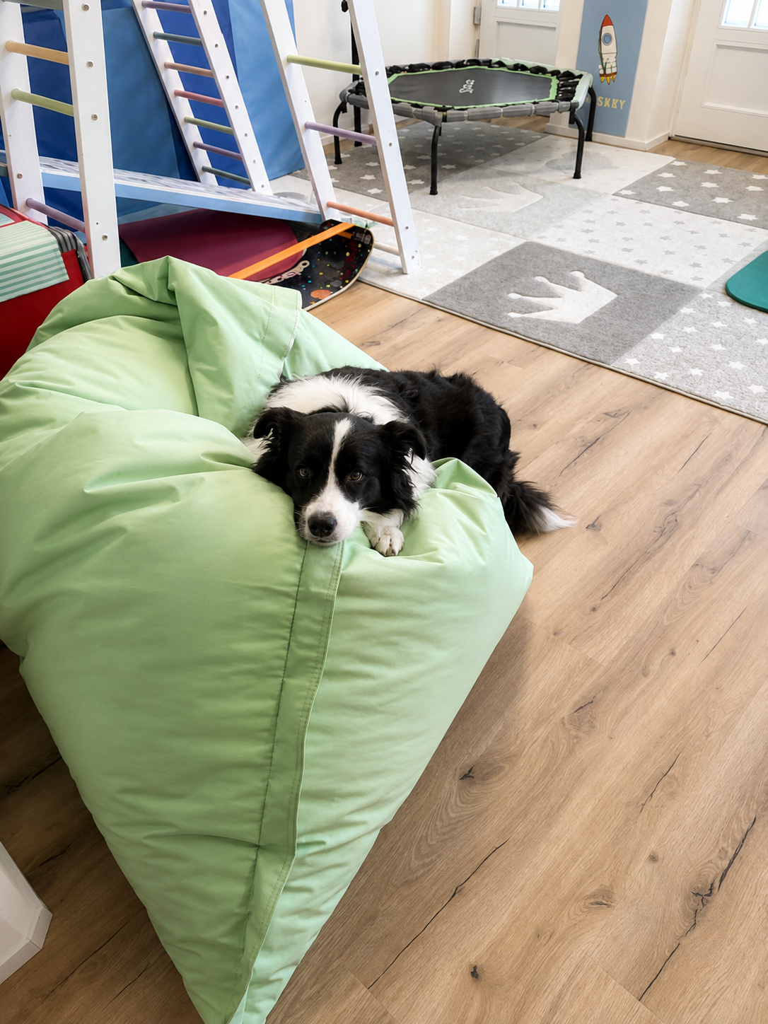 Therapiehund entspannt auf dem Sitzsack im Praxisraum der Praxis in Horgen am Zürichsee